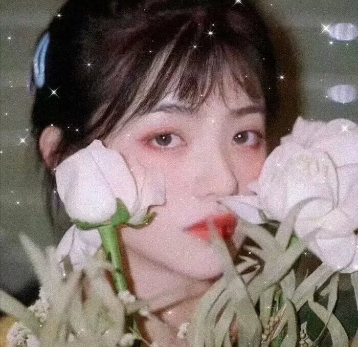 吴邪私家笔记